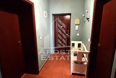 Mansarda inalta cu 2 camere de vanzare, loc de parcare, Dumbravita - 7