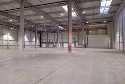 Spațiu industrial, de 2,610.00 mp, în Someșeni