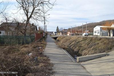 Valea Ursului - DN 7, Teren Stradal 2744 mp - 4