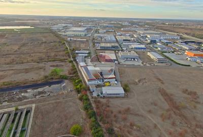 Hală în parc industrial Borș 1, teren 2.903 mp, de vânzare - 15