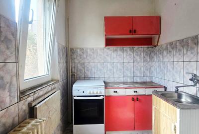 Apartament 1 camera, etaj 1 – Vlaicu - 3
