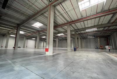 Spațiu industrial, de 10,000 mp, în Ștefăneștii de Jos
