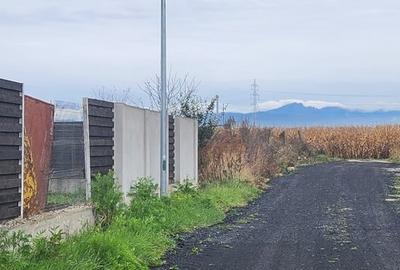 Teren suprafata 66.707 mp in str. Merilor-Stupini, pretabil cartier rezidential! - 2