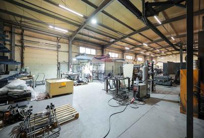 Hală în parc industrial Borș 1, teren 2.903 mp, de vânzare - 44