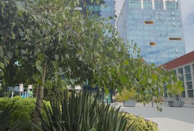 Spațiu comercial, de 291 mp, în Floreasca