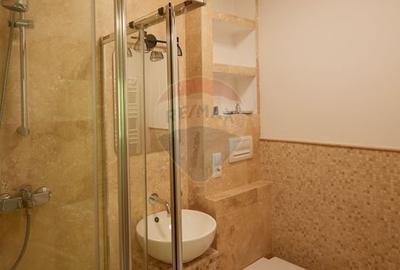 Apartament 4 cam, pe 2 niveluri si curte comuna pe Vasile Alecsandri - 12
