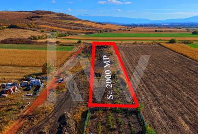 Teren intravilan 2.000 mp, PUZ aprobat  Strada Viile Sibiului Sibiu -DN14 - 4