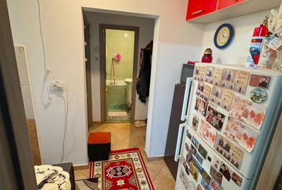 Lacul Tei zona Parcului apartament 2 camere decomandat bloc anvelopat - 8