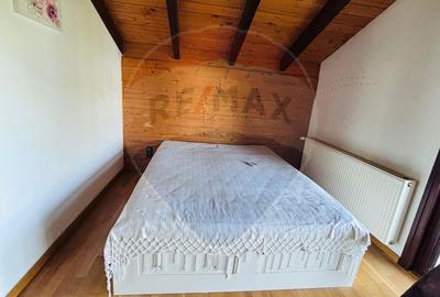 Casa de vacanta de închiriat  Cornetu -Mihailesti - 11