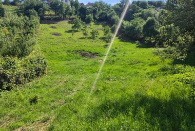 0 % Comision!Teren intravilan , 5330 mp, front de 29 m, in Feleac - 10