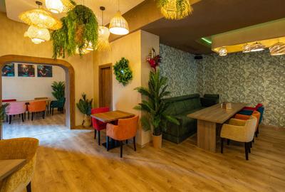 Decebal -DRISTORULUI -ALBA IULIA - 240 mp-PRET 5.000 EURO - 6