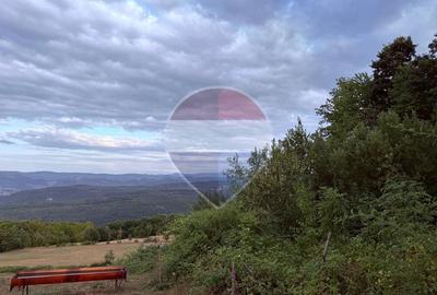 De vânzare teren intravilan 3,690mp Suncuius - 5