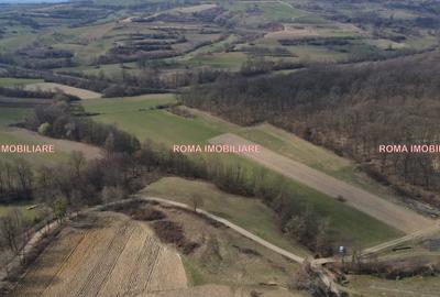 Teren superb de vânzare în Dumbrăvița – 3.750 mp - 4
