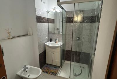 Berceni-Tulini Apartament 3 camere - 8