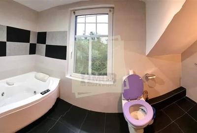Casa individuala mobilata cu 4 camere 2 bai si garaj in Gusterita - 5
