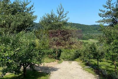 Cabane A frame + Teren 6000 mp |  Proprietate deosebita, NOU - 17