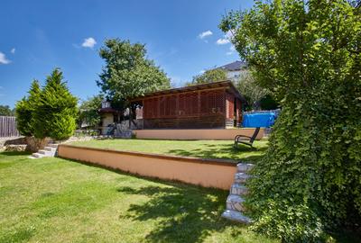 Reprezentare exclusivă · Casa dintre magnolii, Făget · 1.343 mp lângă pădure - 27
