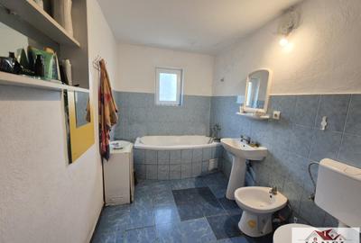 Vanzare casa in Vintu de Jos - Parau lui Mihai - 6