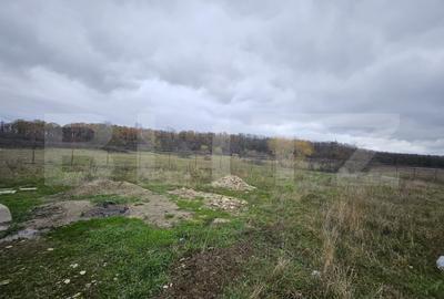 Teren Construcții intravilan de 1184 mp, în Sud