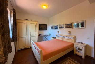 Aspen House, 5 camere, gradina matura, garaj, din caramida, Paradisul Verde - 7
