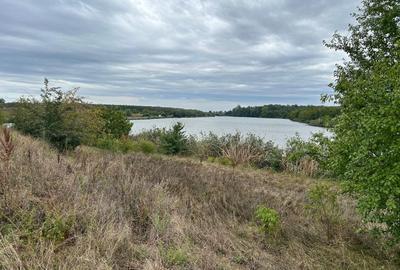 Teren Construcții intravilan de 22864 mp, în Moara Vlăsiei