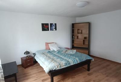 Casă individuală cu 2 camere în Central