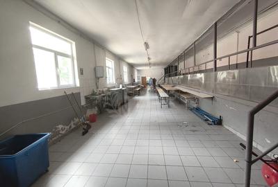 HALA PRODUCTIE/DEPOZITARE/BARIERA BUCURESTI - 9
