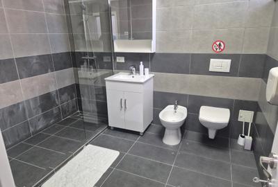 Prima inchiriere, comision 0, proprietar, mobilat, se adauga 300 EURO UTILITATI - 9