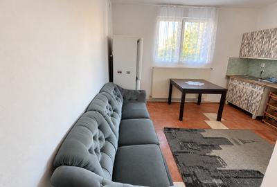 Apartament cu două camere Calea Lipovei - 5