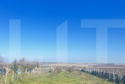 Teren Construcții intravilan de 5000 mp, în Orășeni-Deal