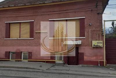 Casă individuală cu 9 camere în Iosefin
