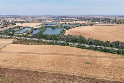 Teren 8.648 mp | Intravilan + extravilan | Deschidere 21 m | Mosteni - 7