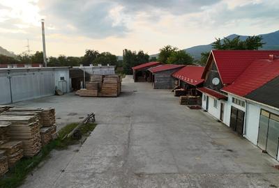 Fabrică de cherestea complet utilată & centru logistic - 7