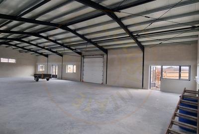 Inchiriere Hală Producție/Depozitare 300 mp, Teren 1791 mp - Carei - 5