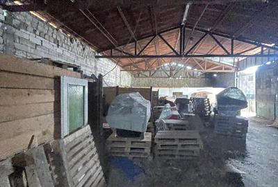 Complex industrial/Ferma de vânzare | Orțișoara, jud. Timiș - 5