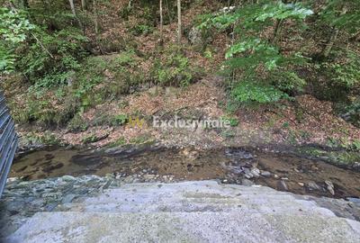 Splendoarea naturii imbinata cu stilul modern=pensiune exclusivista - 25