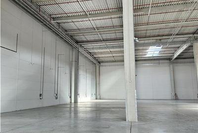 Spatiu Industrial - 7600 mp - Logistica - Productie - Depozitare - Distributie - 3