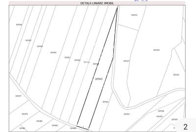 Teren agricol extravilan de 5400 mp, în Cuied