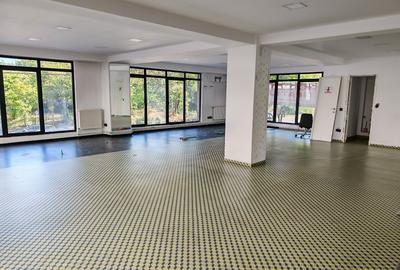 Spațiu comercial, 450 mp în Plopilor