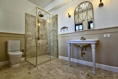 Vila complet renovata Dorobanti Capitale - 19