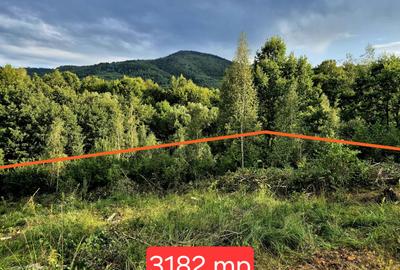 Cabana in mijlocul naturii/parau sezonier /locul de suflet la Sinca Noua/Brasov - 2