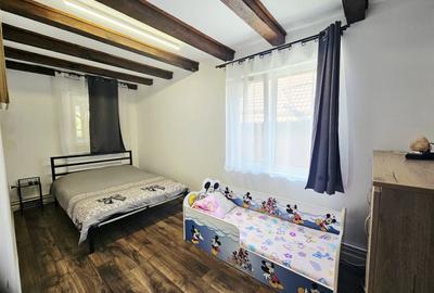 Splendoarea naturii imbinata cu stilul modern=pensiune exclusivista - 22