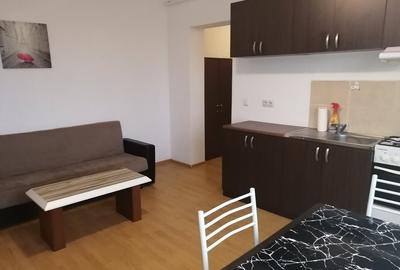 Ap. 2 dormitoare Lipovei - Iulius Mall cu centrala de inchiriat - 6