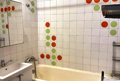 Apartament 2 camere de închiriat mobilat în Banu Manta – Titulescu, - 12