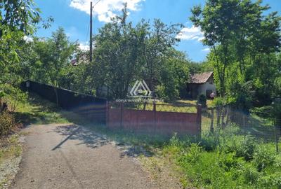 CASĂ LA ȚARĂ, SÂMBOLENI, COMUNA CAMARAȘU - 21