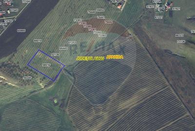 Teren extravilan de vanzare in Campenesti - 1