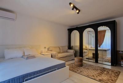Muncii  - Decebal- Calea Calarasilor - studio modern - renovat 2026 - baie noua - 3