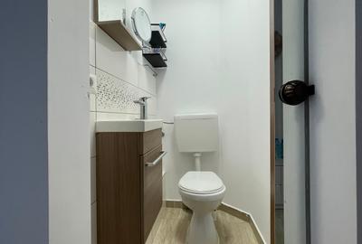 Piața Victoriei - 4 camere mobilat și utilat complet - 19