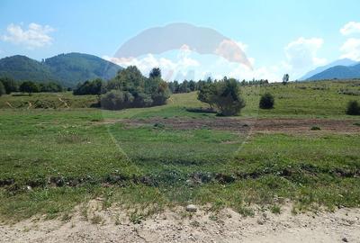 Teren Rasnov - Glajerie, 1225mp, teren drept, acces usor - 7