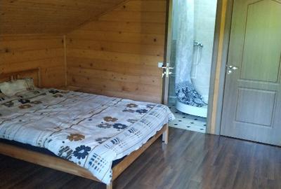 Casă de vacanță în zona subcarpatica - 12